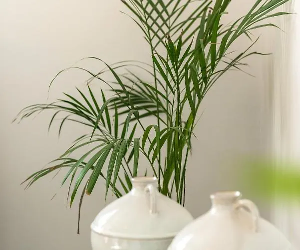 Center Elite Apartment *