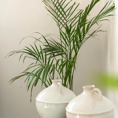 Center Elite Lägenhet *